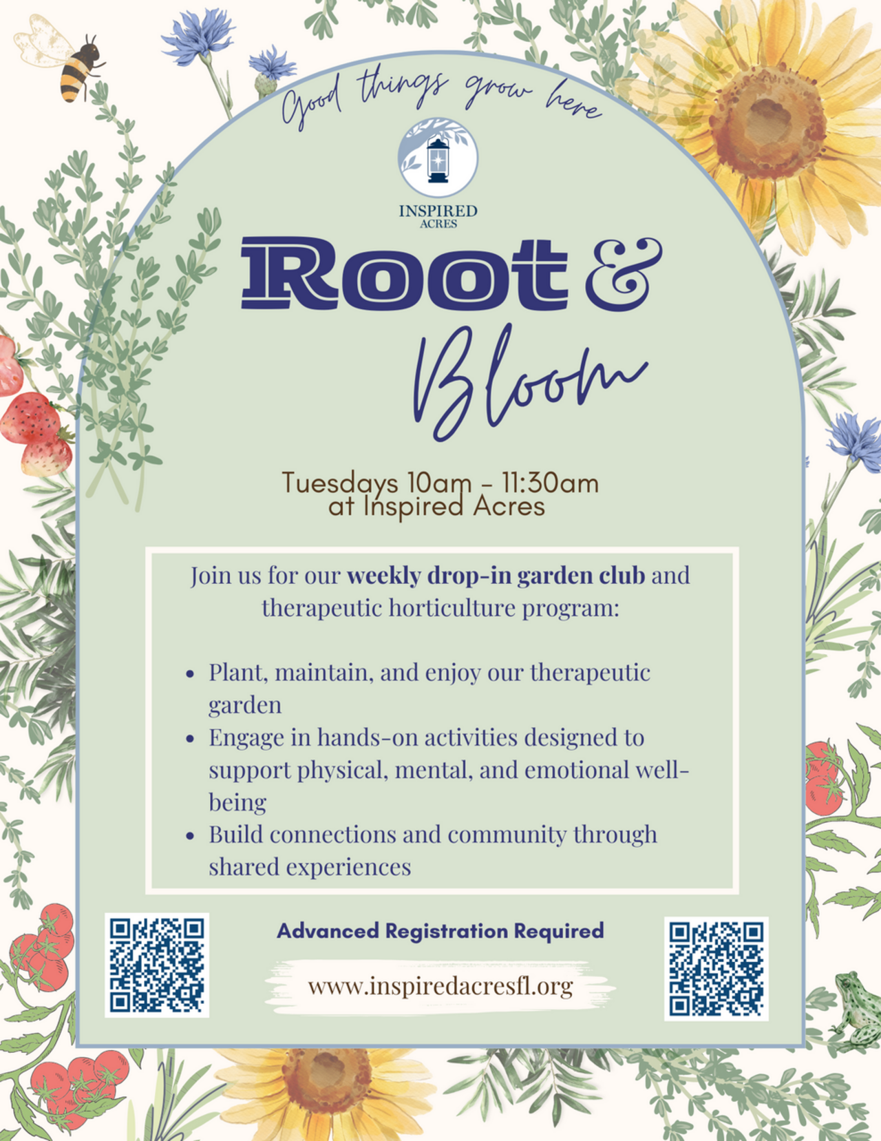 Root & Bloom 6/3 logo